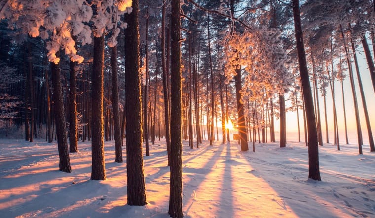 Sunrise in the snow.