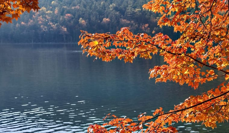 Fall landscape over a lake.