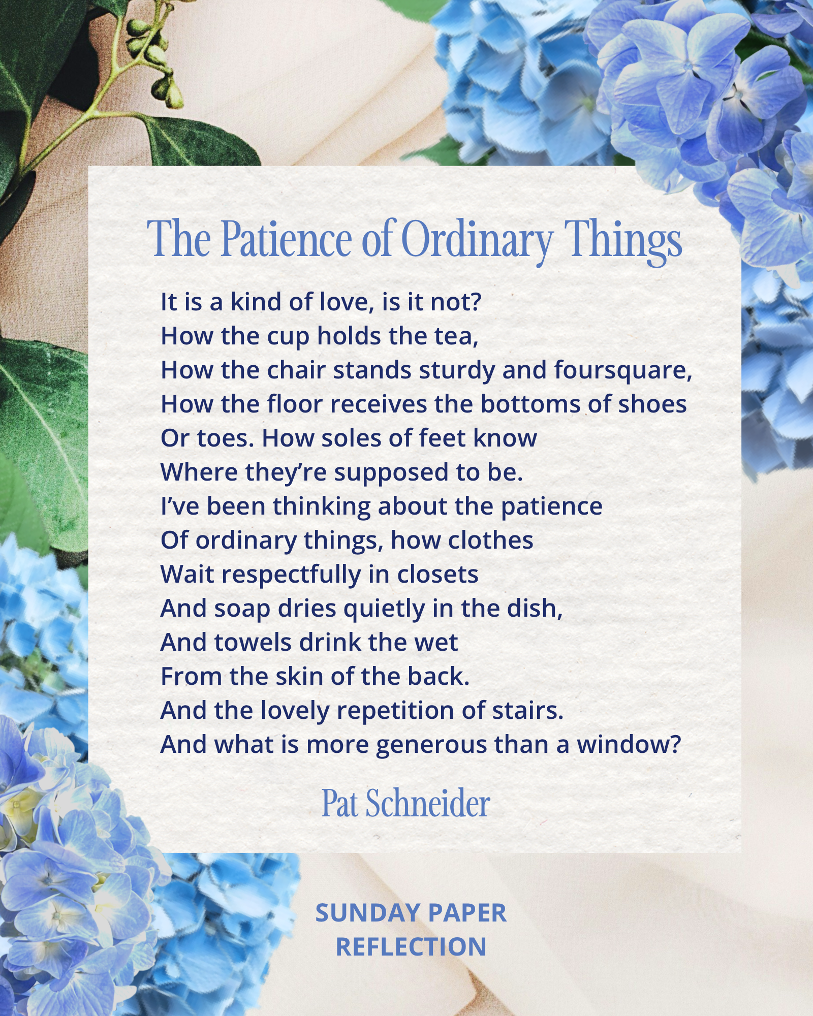 The Patience of Ordinary Things by Pat Schneider